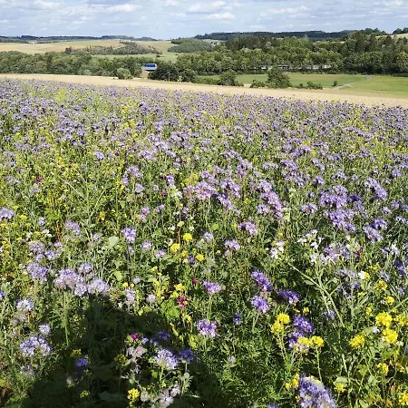 Maar-idyll Daire Schalkenmehren