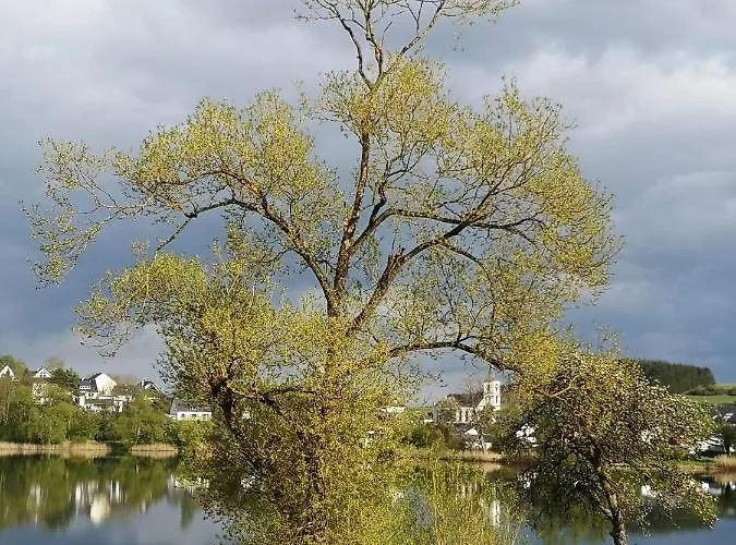 Апартаменты Maar-idyll Шалькенмерен