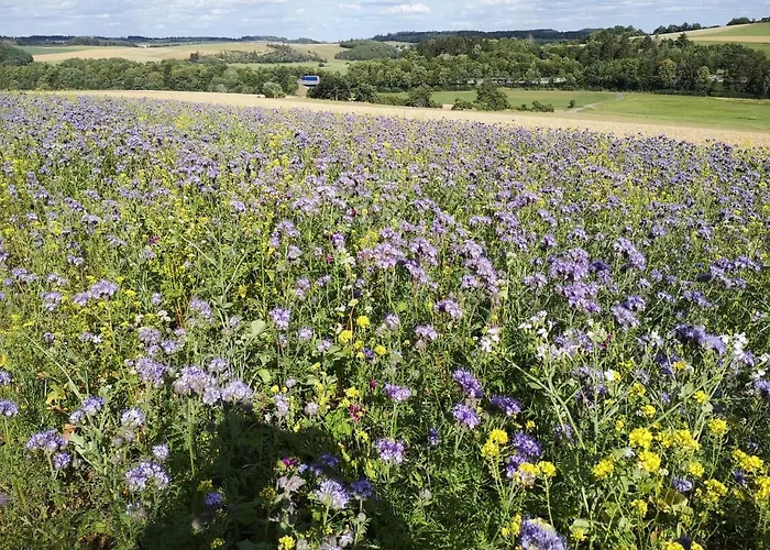 Maar-idyll Apartmán Schalkenmehren